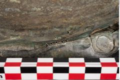 Foto von Bronzesitula (NHMW-PRAE-024522)